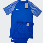 Ensemble Running